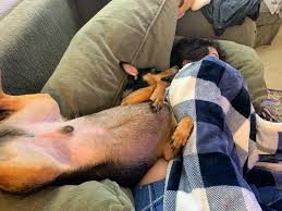 Robinbuckley embed jpg x Daughter sleep