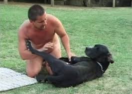 Great zoo porn where a guy fucks dog jpg x Guy fucking dog