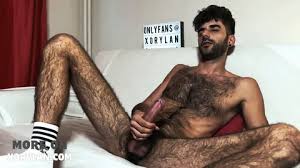 Hairy solo gay porn reels nudes jpg x Gay hairy solo