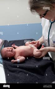 pedactric genital exam of child|Genitourinary Assessment: An Integral Part of a Complete Physical  Examination - Journal of Pediatric Health Care