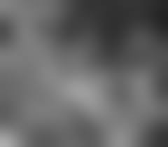 little nudismの|Little Beach | Maui Guidebook