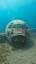 The Allure of the Unknown: Exploring the Depths of the Ocean ile ilgili video