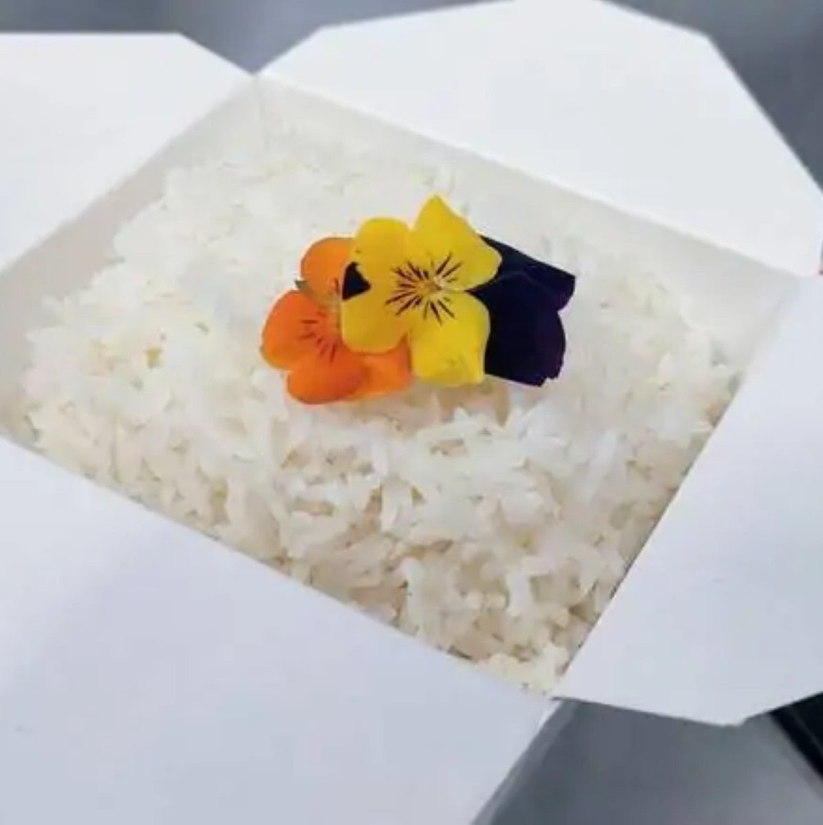 Vegan Thai Kitchen by null