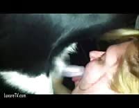 Bbw girls suck dick best free sex video redtube jpg x Chubby girl sucks dick