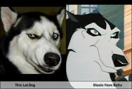 tee hee
