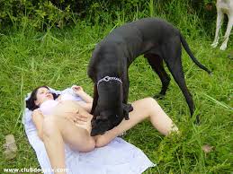 Girl and dog sex unfolding on the floor free bestiality and animal porn jpg x Girl and dog sex