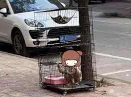 中国 幼女|大家谈中国：保护幼女不被侵害全社会应该行动起来- BBC News 中文