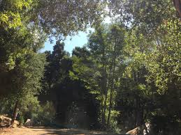 forest nudist|20 Fun Places to Get Naked and Chill in Oregon