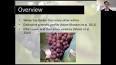 The Intriguing World of Viticulture and Enology ile ilgili video