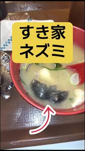 すき家 女性店員  モザなし|可愛いギャル店長の日常！ラーメン屋での楽しい時間 | TikTok