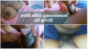 Sri lankan porn videos free vids tiava png x New sinhala sex videos