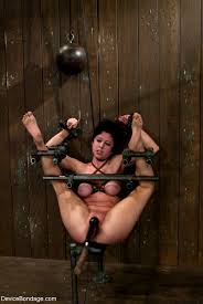 Free porn samples of device bondage best highly trained device bondage jpg x Device bondage
