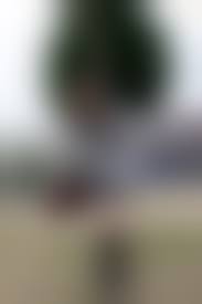  imouto.tv スカート|Imouto.tv] 2019-05-13 Mao Imaizumi tennen_imaizumi_m01 - 微图坊