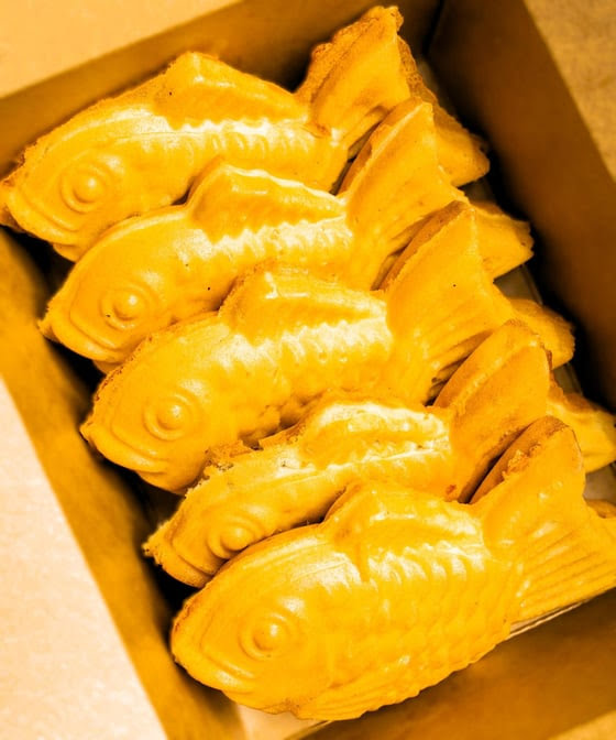 Bobo the boba by null