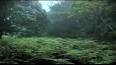 Ekvatoral Bölge: Dünyanın Yağmur Ormanları ile ilgili video