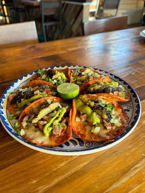 Blue Goose Cantina Mexican Restaurant by null