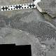 Weird dolphin-like fossil suggests reptiles evolved quicker than we thought 