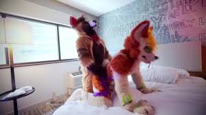 Zero murrsuit party jpg x Gay fursuit