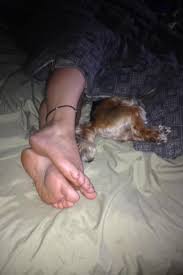 Sleeping feet jpg x Sleeping feet