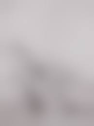 nude family photography Daughter|Is this picture disgusting or beautiful? - BBC News