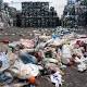 This Plastic-Eating Bacterium Might Help Deal With Waste One Day 