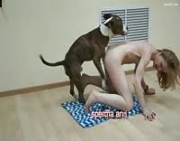 Ea animal sex beastiality porn jpg x Fucked hard by dog