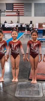 child gymnastics|Preschool Gymnastics Classes: Building Skills and Confidence