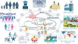 han gain fake porn|Generative Artificial Intelligence and the Evolving Challenge of Deepfake  Detection: A Systematic Analysis