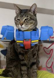 「ハサウェイ・ノア」アイコラ161|海外留学での嬉しい瞬間｜ミーンガールズの思い出 | TikTok