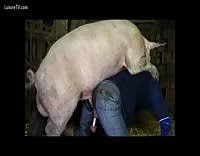 Man fuck goat jpg x Man fuck goat