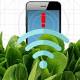 These bionic spinach plants can sniff out bombs 