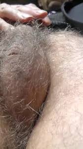 Hairy balls porn videos gay xhamster jpg x Hairy balls