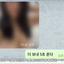 N号房|韩国N号房共犯长相公开 承认嫌疑向受害者道歉--韩国频道--人民网