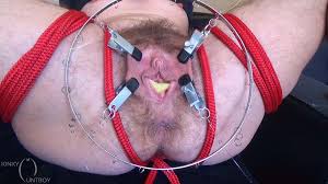 Bdsm pussy stretching jpg x Bdsm pussy stretching