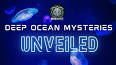 The Enthralling Wonders of Deep-Sea Bioluminescence ile ilgili video