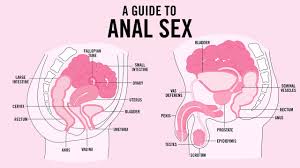 So that what anal feels like redtube jpg x Does anal sex feel good