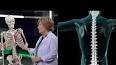 Kemik Sağlığı: Sağlıklı Kemikler İçin İpuçları ile ilgili video