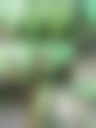 Ngintip mandi siswi smp |Alami Babak Belur, Siswi SMP di Jatinegara jadi Korban Pengeroyokan |  OneNews Update - YouTube