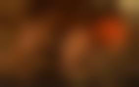 breeding bestiality gif|