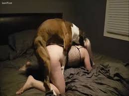 Husband helping out his depraved wife to get fucked dog zoo porn dog sex zoophilia jpg x Wife fucks the dog