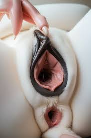 Mouse inside pussy jpg x Mouse in pussy