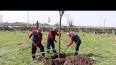 Bitki Toplulukları, Ağaç ve Ot Toplulukları ile ilgili video