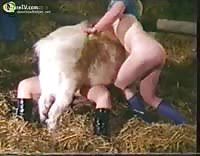 Cock fuck sheep gay beast com zoophilia boy extrem sex and taboo porn jpg x Man fucks sheep