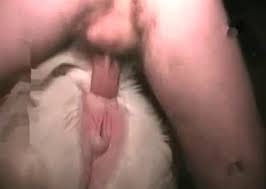 Adorable man fucks animal in the anal hole jpg x Fucking animals