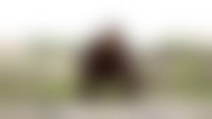 AISS爱丝　Pussy|AISS 爱丝No.095 性感街头小秘书上- XNXX.COM