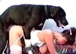 Awesome black dog fucked girlfriend jpg x Fucked by my dog