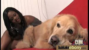 Girl having sex with dog jpg x Girl having sex with dog