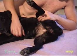Guy fucked dog jpg x Guy fucked by dog