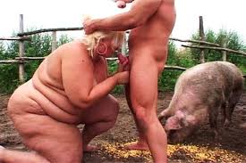 Boar corps update sex with pig jpg x Pig fucks woman