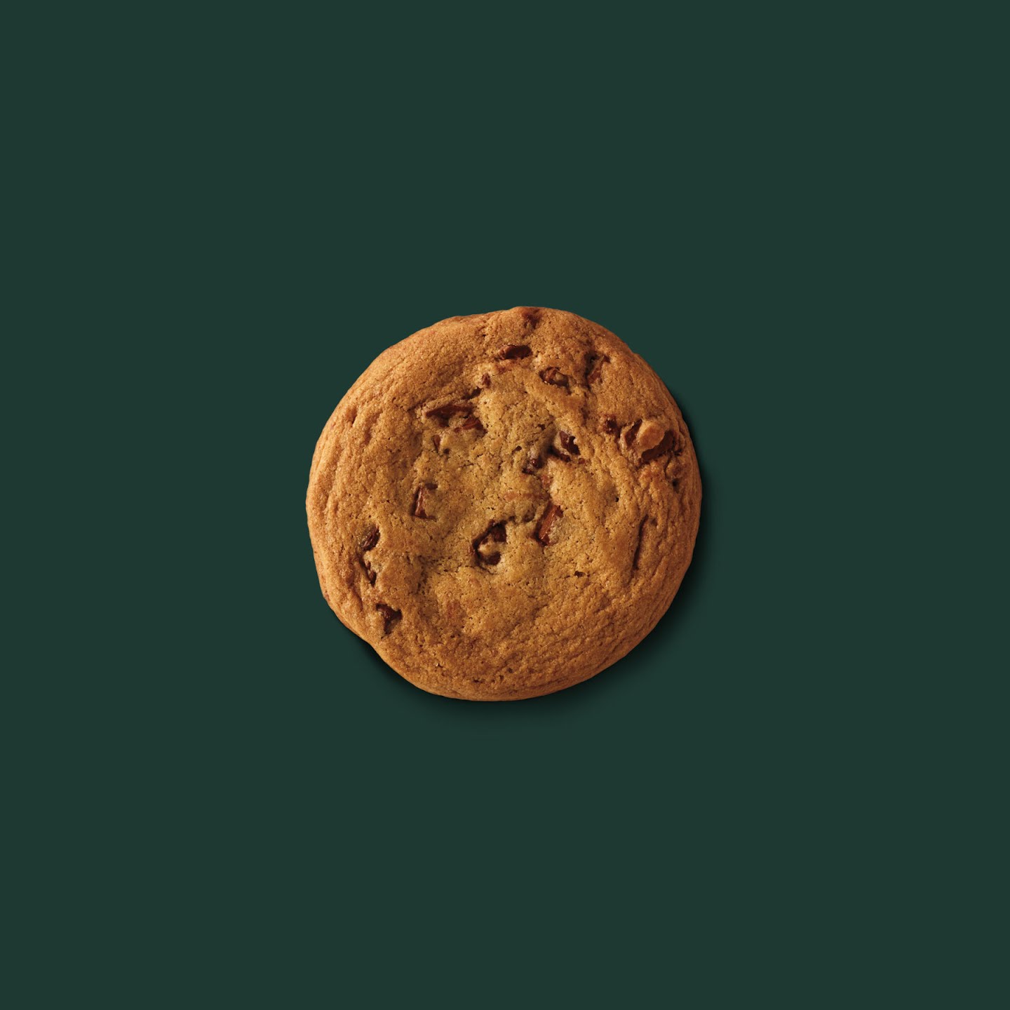 Starbucks by null